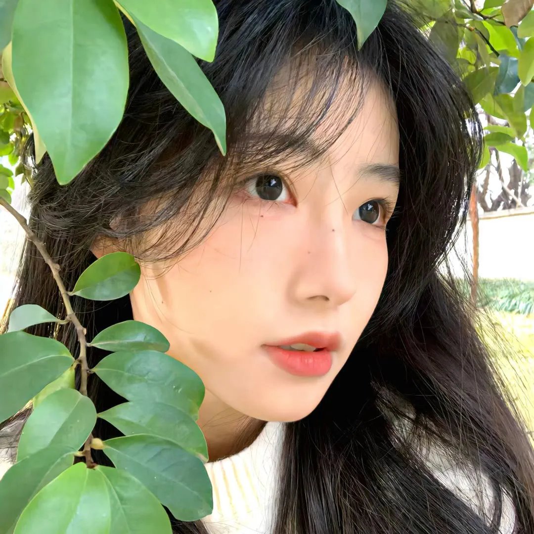 神秘失踪案